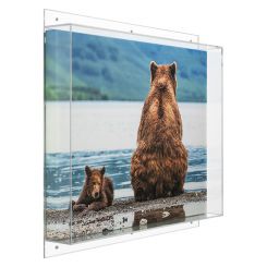 Wall Mount Art Canvas Cover Shadow Box, Museum Quality 98% UV Filtering Acrylic