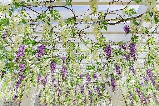 hanging greenery at wedding 