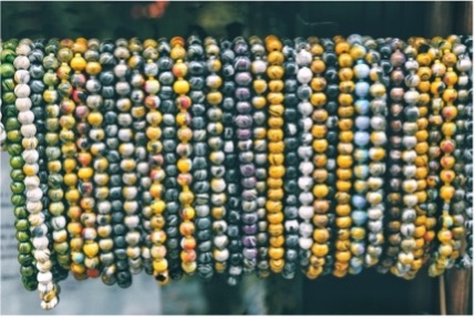 Assortment of beaded bracelets on a acrylic slatwall jewelry t-bar display.