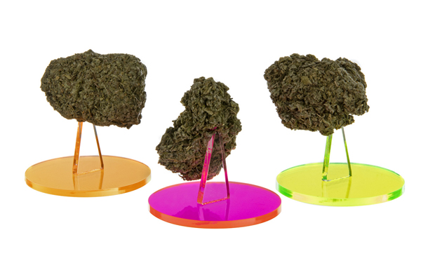 Three cannabis display pod spikes in orange, pink and green.