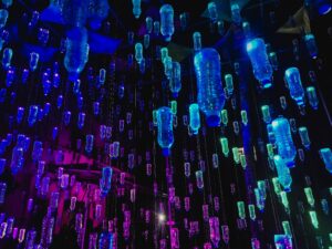 Sustainable Recycled Water Bottle Art Installation