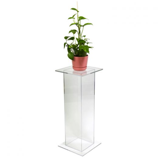 Green plant on a clear acrylic pedestal.
