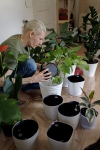 Woman potting green plants on the floor.