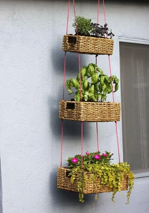 plant basket display bringing color and vitality to a bare wall 