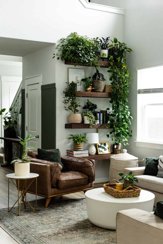 Gorgeous plant shelf wall that’s perfect for a plant “shelfie”