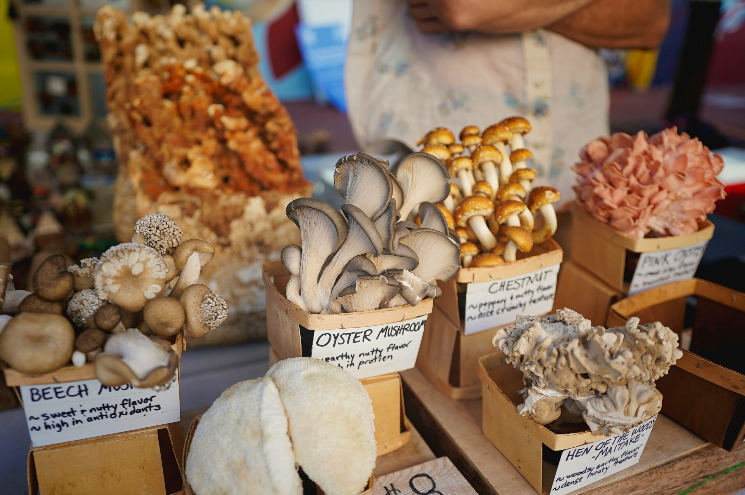 Farmers Market Signage