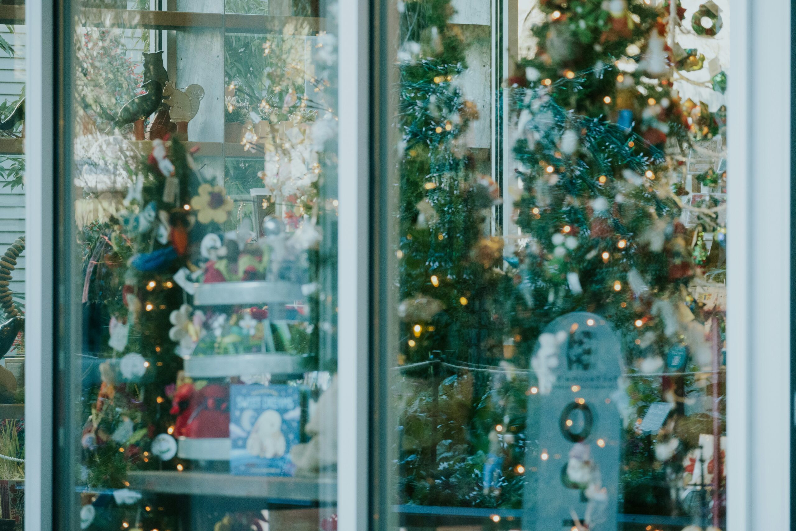 Holiday Lights 