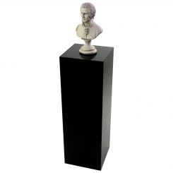 Black Acrylic Square Floor Standing Pedestals