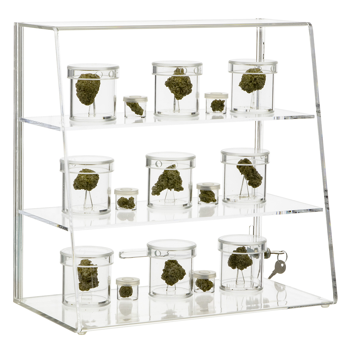 Locking Two Shelf Slanted Cannabis Display Case shopPOPdisplays
