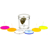 Banner for Customize This Item