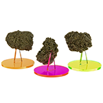 Banner for Customize This Item