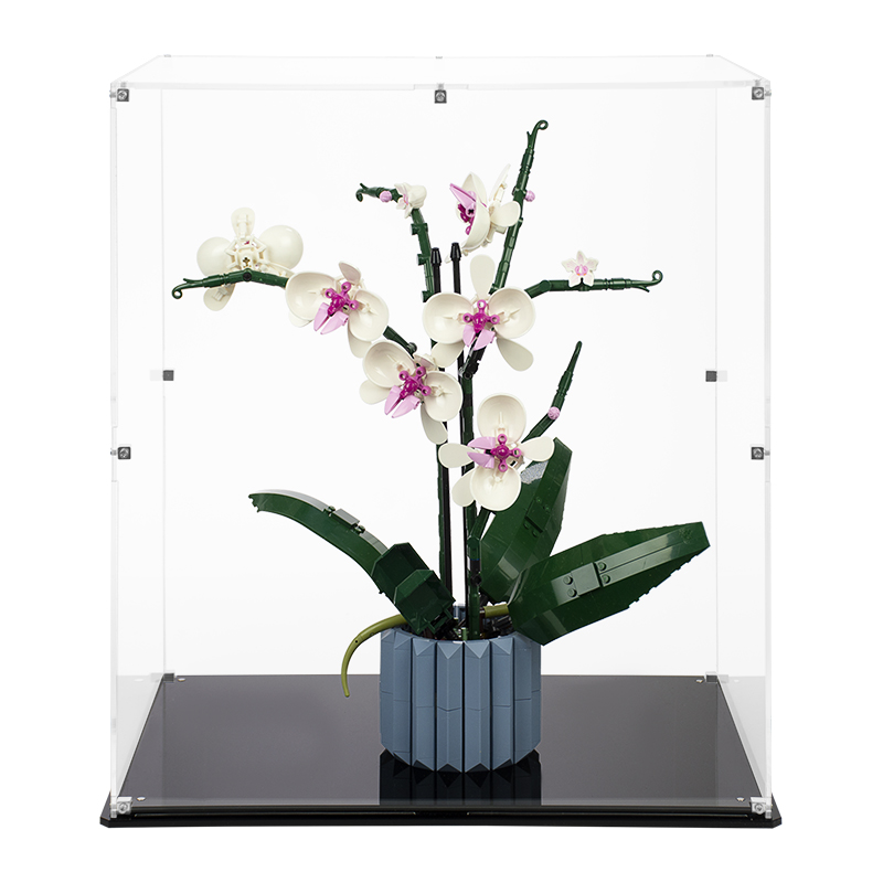 Display Case for LEGO® Orchid 10311 | shopPOPdisplays