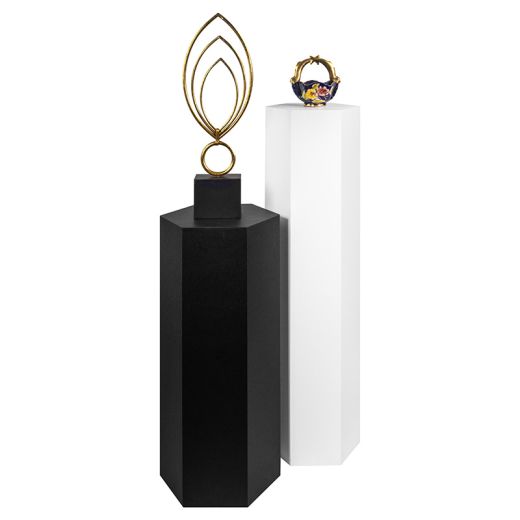 White Hexagon Pedestal Display