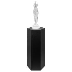 Black Hexagon Pedestal Display