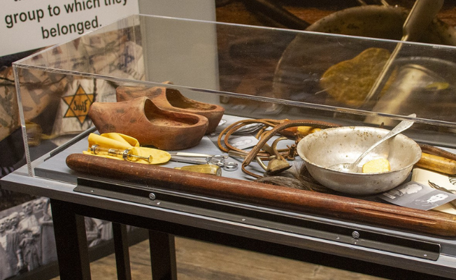 Display Cases for Art