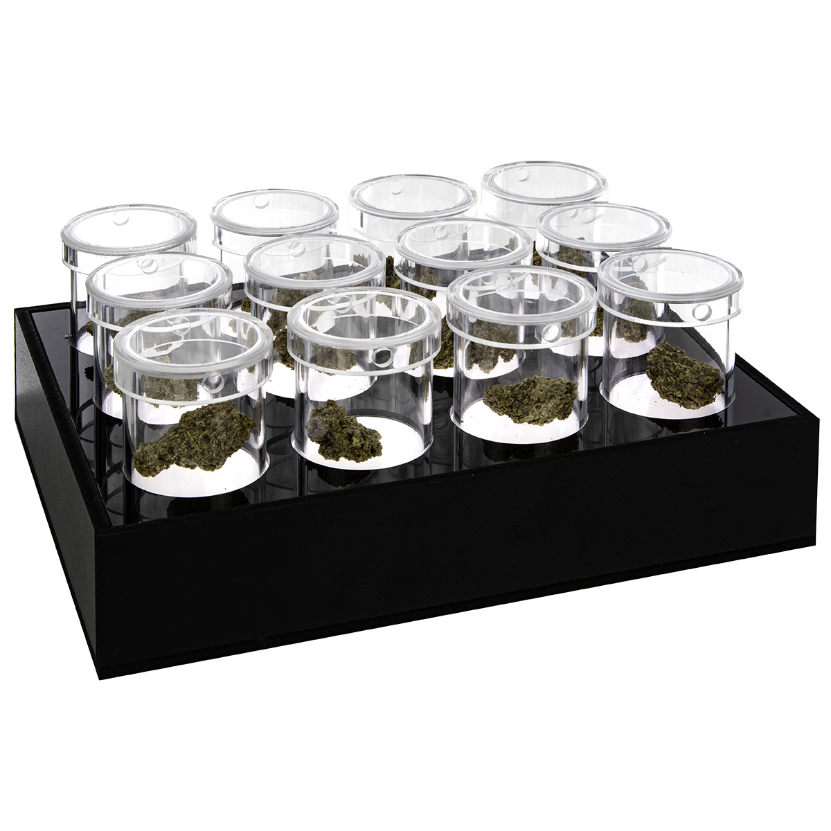 LED Cannabis Display with Black Pod Insert (12 Pods Included