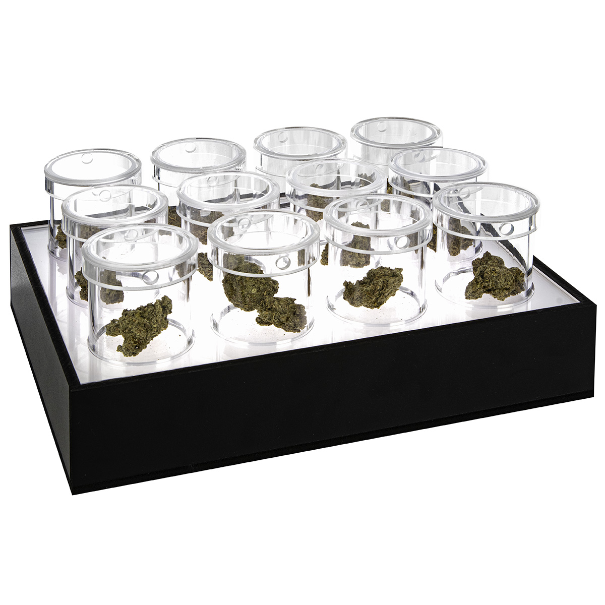 LED Cannabis Display with Clear Insert (12 Pods Included) shopPOPdisplays