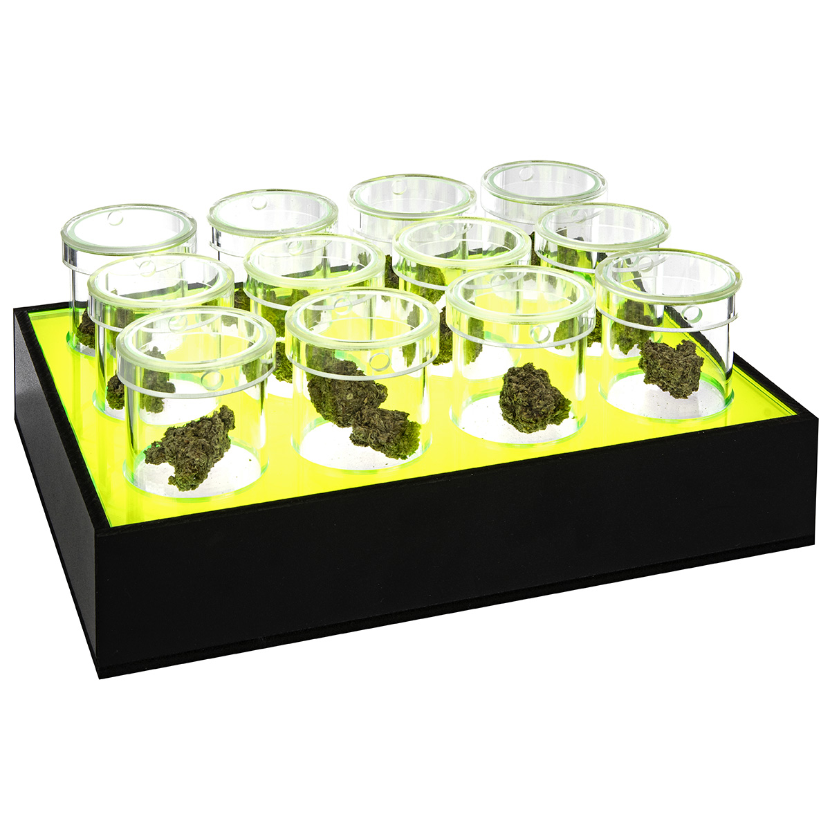LED Cannabis Display with Fluorescent Green Insert (12 Pods Included