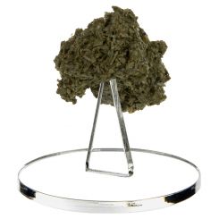 Cannabis Display Pod Spike