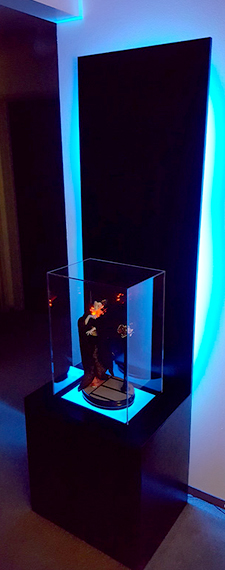 Lighted Display Cases